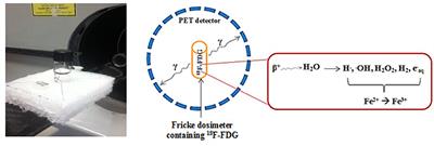 Estimation of the Internal Dose Imparted by 18F-Fluorodeoxyglucose to Tissues by Using Fricke Dosimetry in a Phantom and Positron Emission Tomography